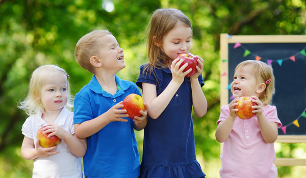 heiko_schulobst_banner